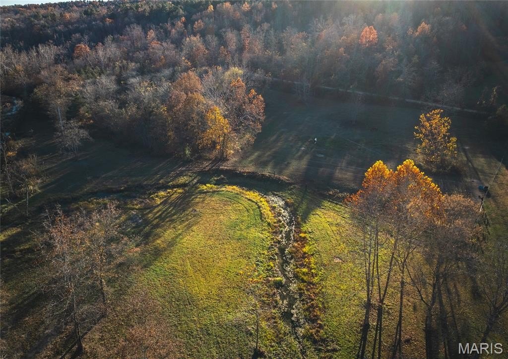 Land Surrounded by National Forest