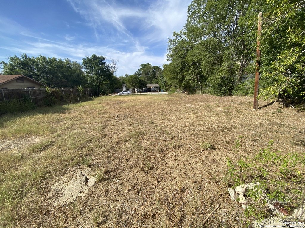 Picture 5