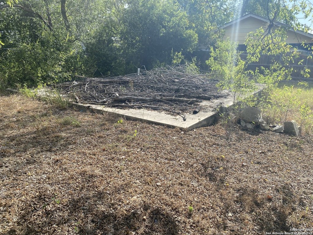 Picture 4