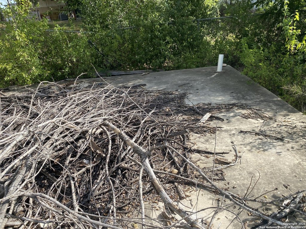 Picture 6