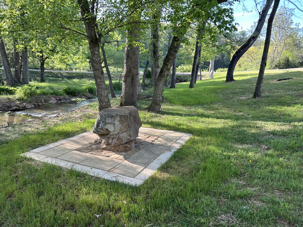 Picture 5