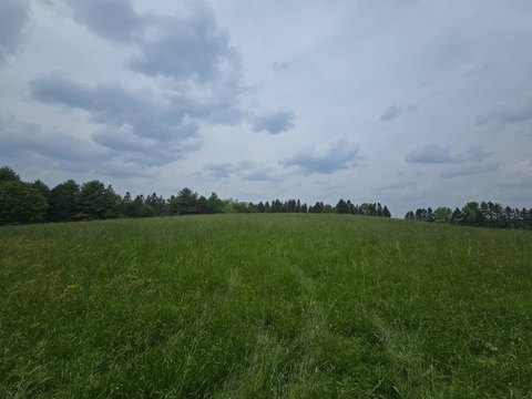 Recreational Hunting and Farm Land