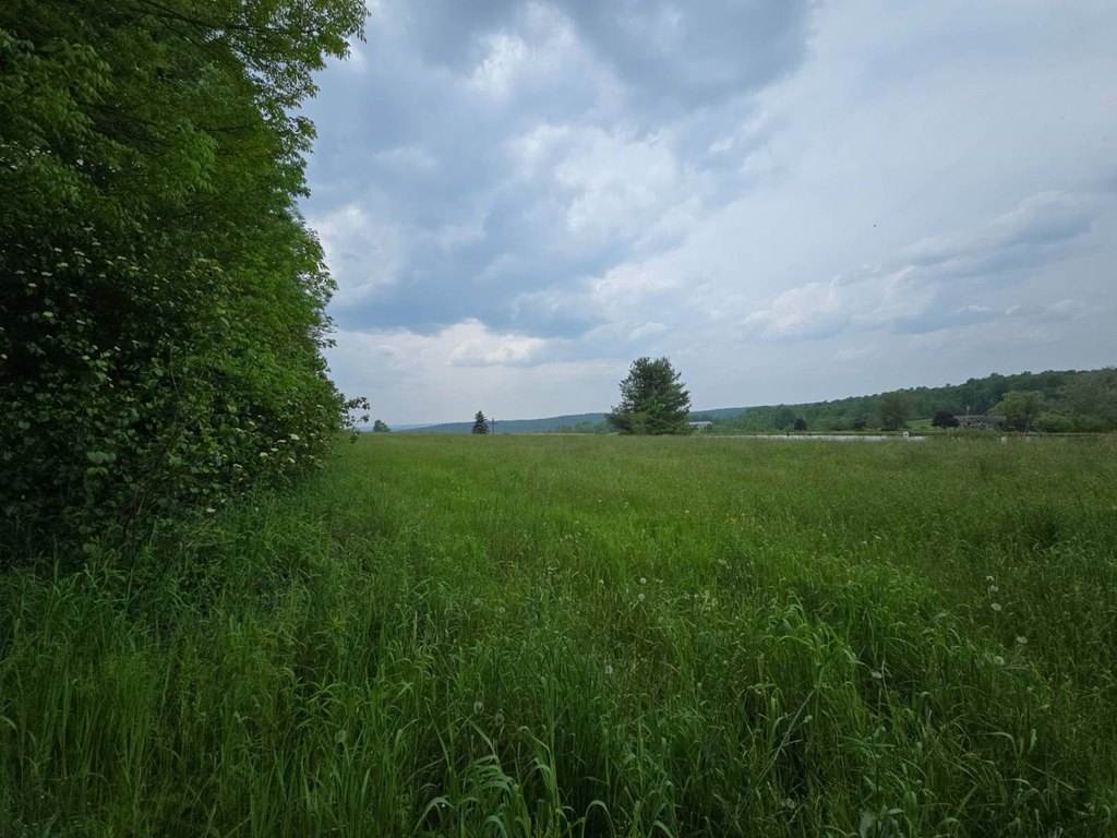 Picture 57