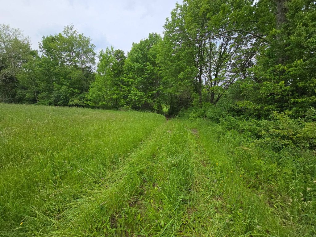 Picture 9