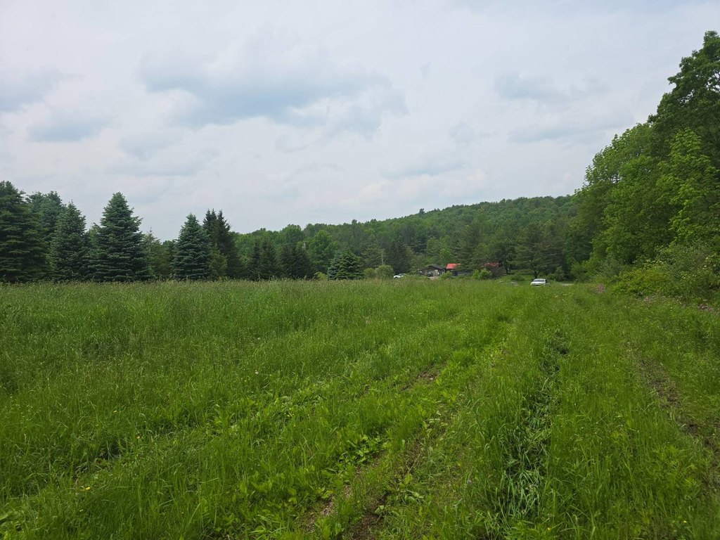 Picture 2