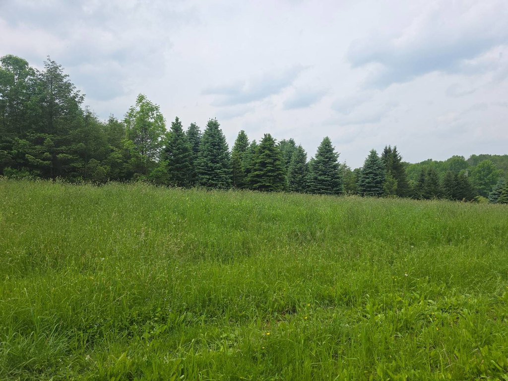 Picture 3