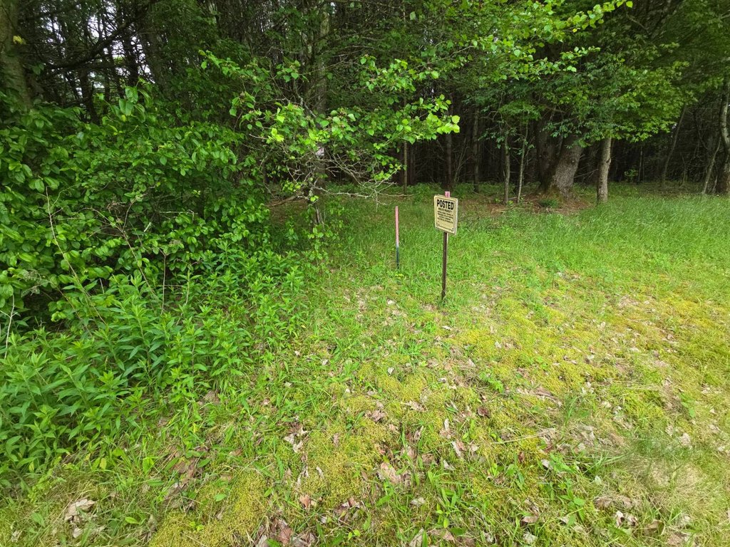 Picture 68