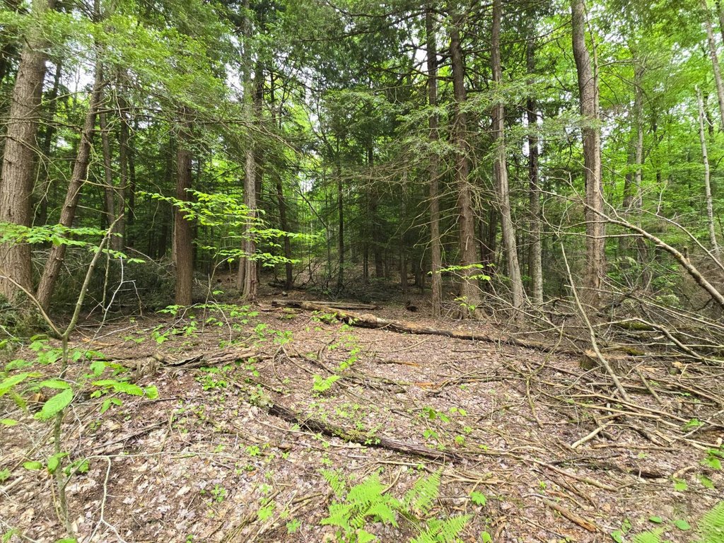 Picture 22