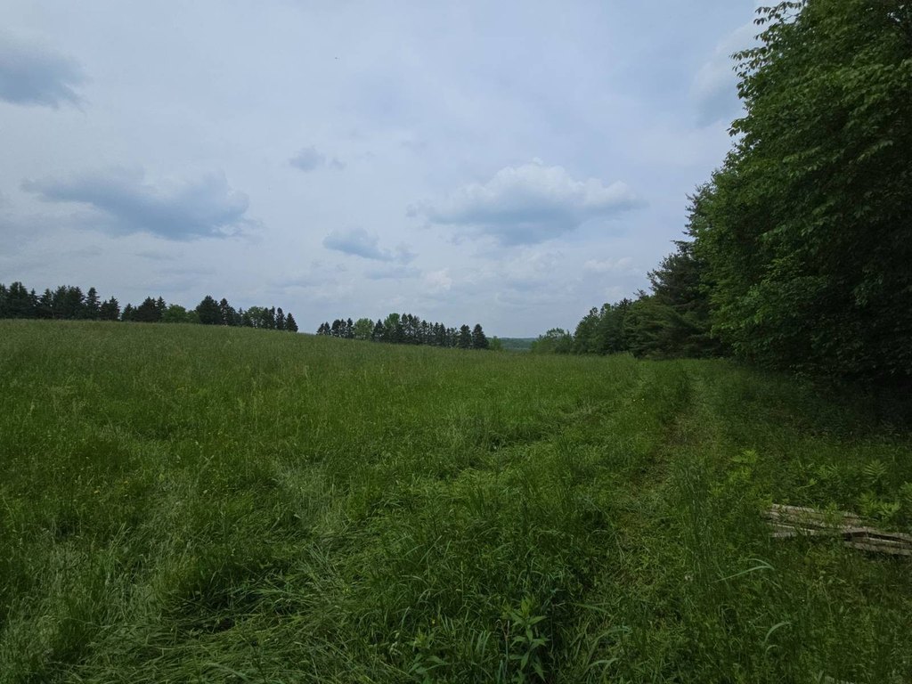Picture 12