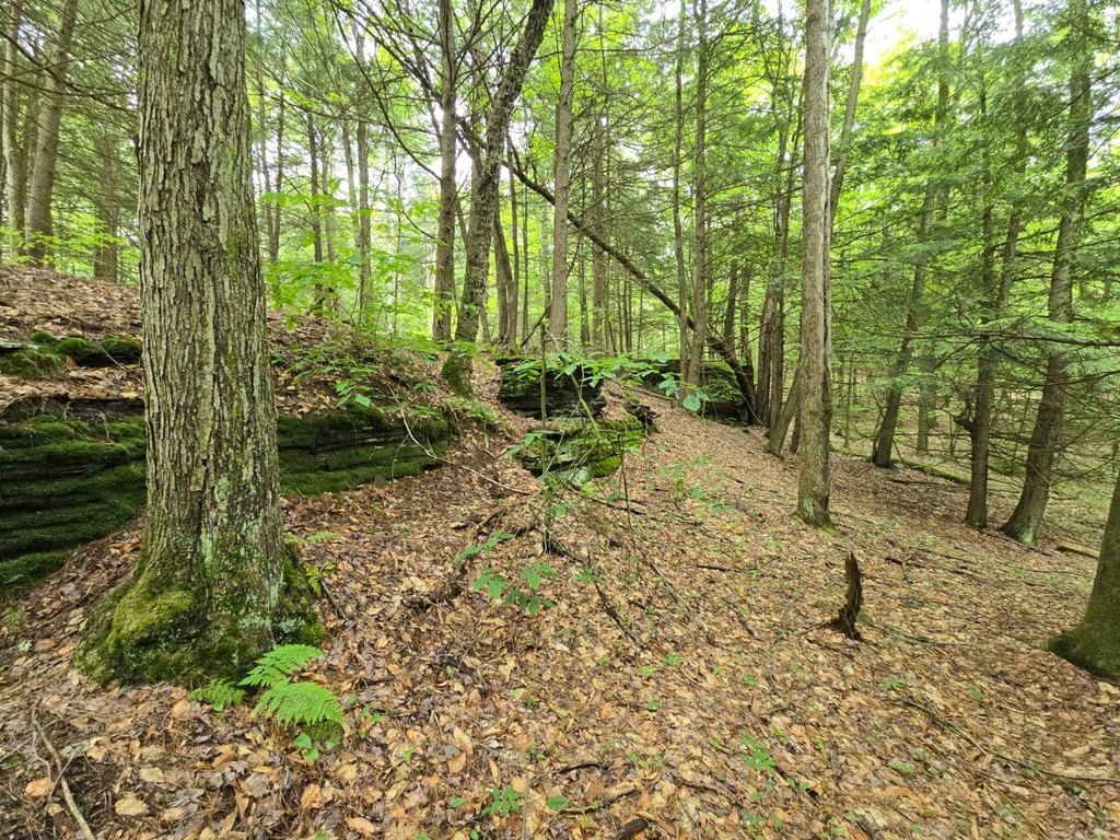 Picture 42