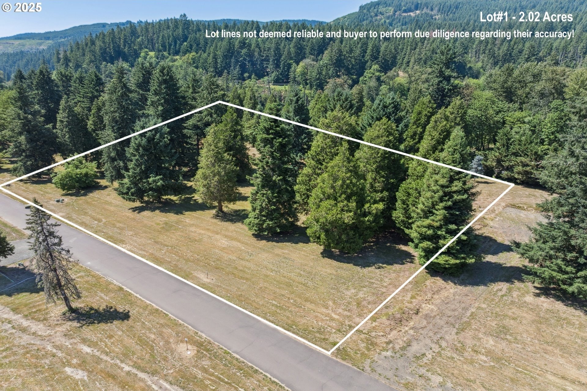 Buildable Land Near McKenzie River