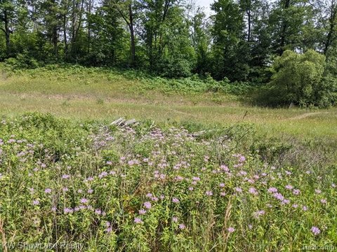 Vacant Land, Hayes Twp, MI