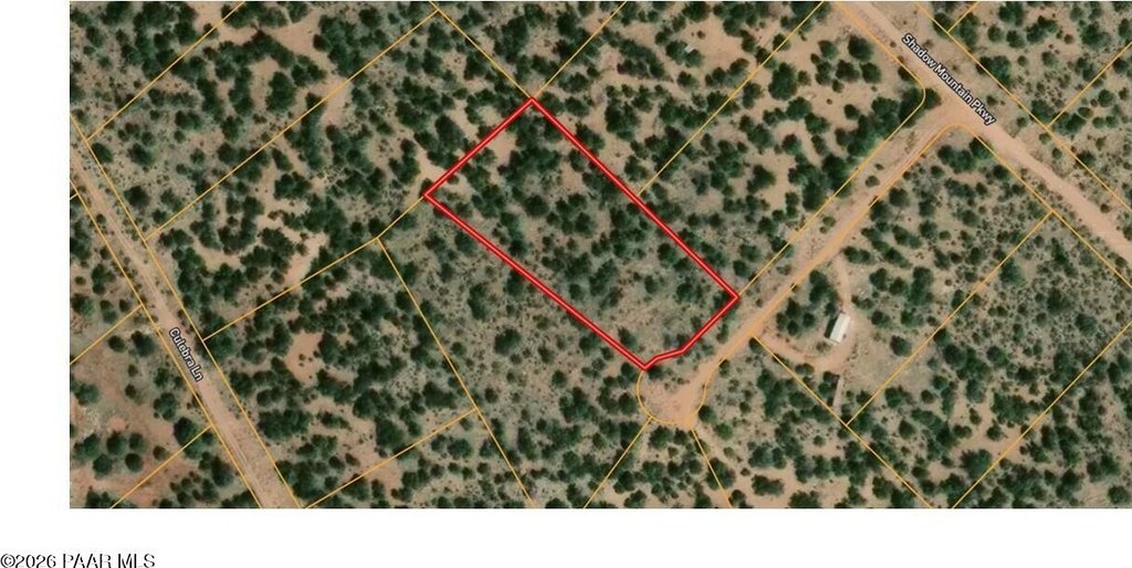 Picture 6