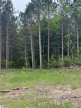 Vacant Lot/Land, Traverse City, MI