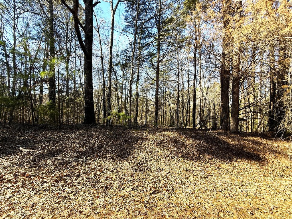 Picture 3