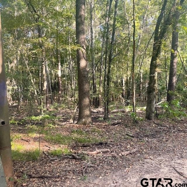 Picture 21