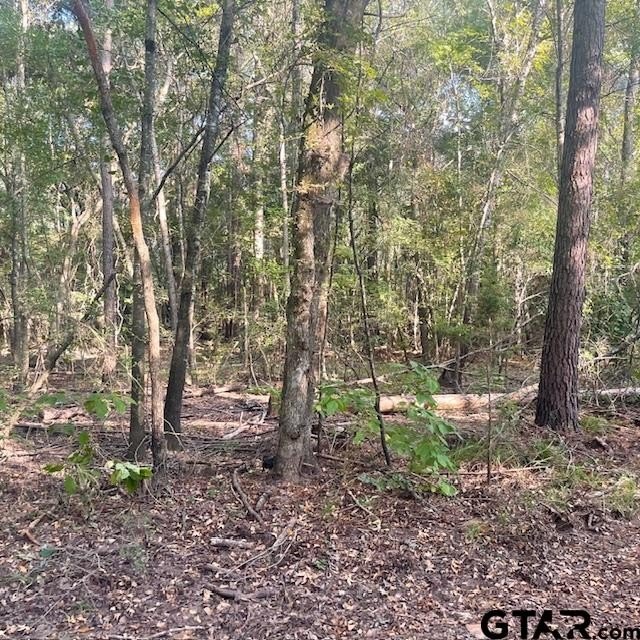 Picture 17
