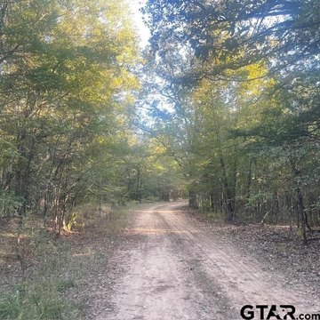 Mineola Land for Hunting/Recreation