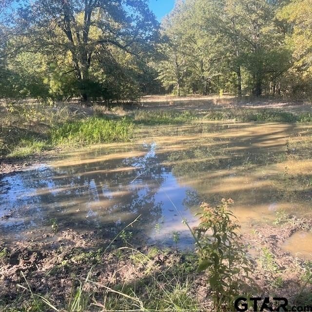 Picture 11