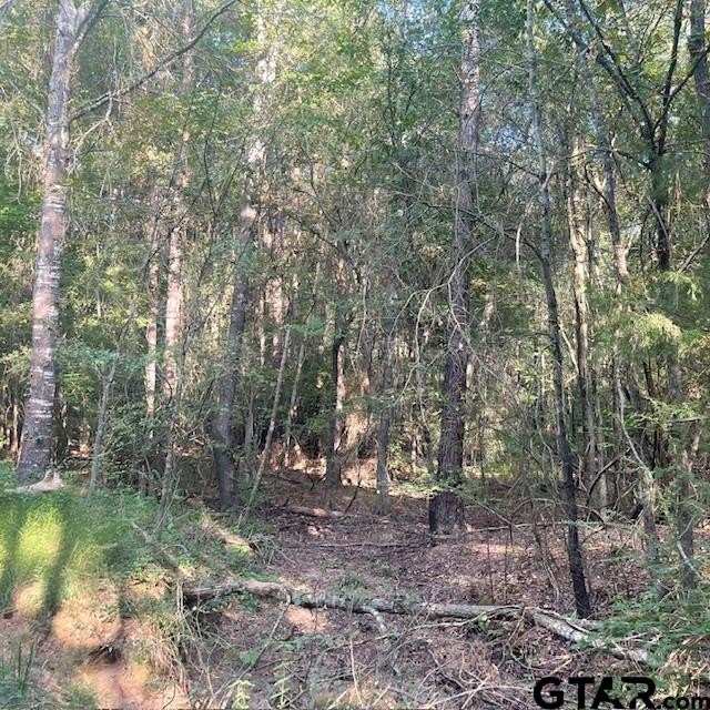 Picture 12