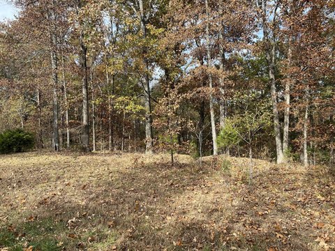 LAND - Murray, KY