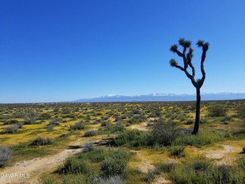 40 Acres Usable Land Lancaster