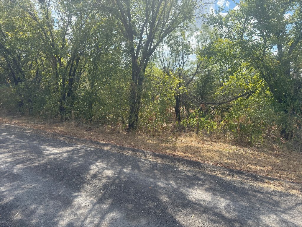 Picture 6