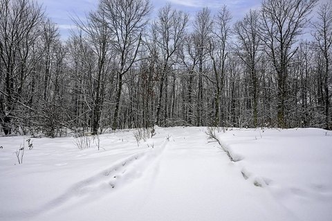 Trego, WI Buildable Vacant Land