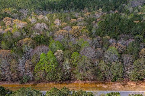 Wooded Lot in Betz Landing