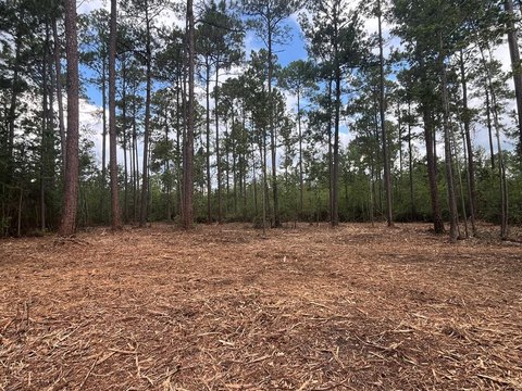 LAND - Thomasville, GA