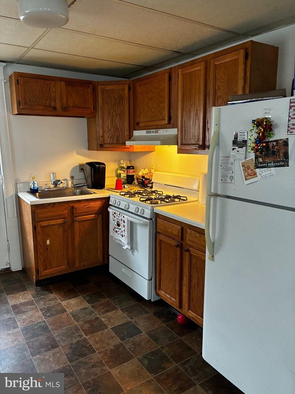Picture 21
