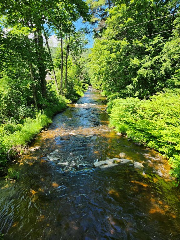Picture 8