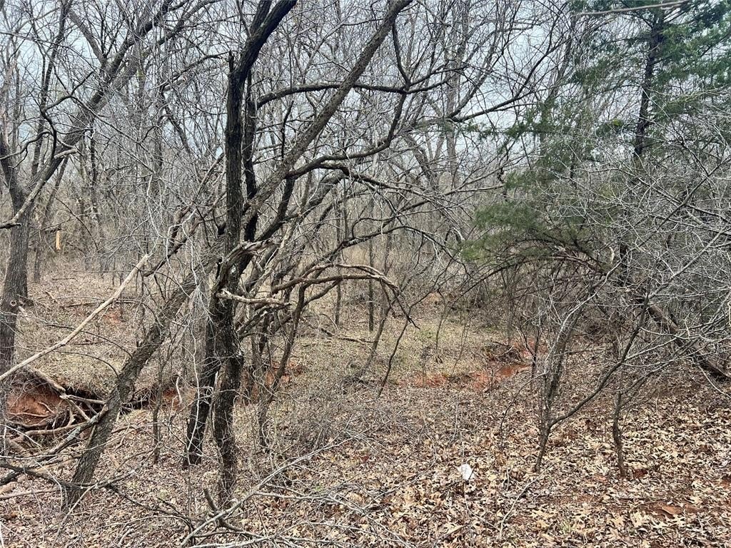 Picture 21