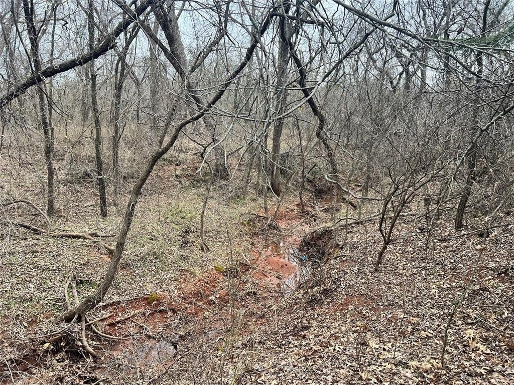 Picture 22