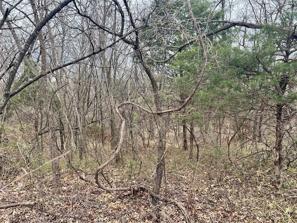 Picture 19
