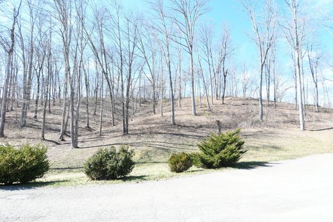 Land, Morehead, KY