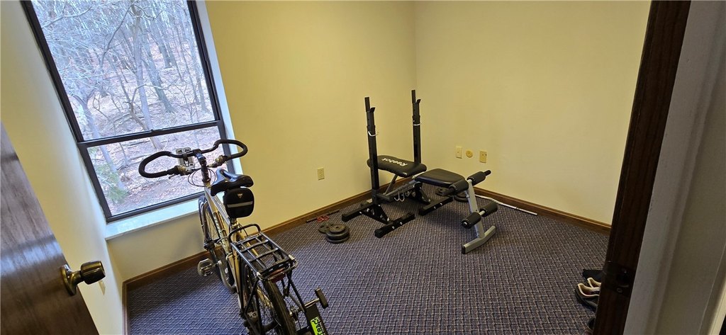 Picture 16