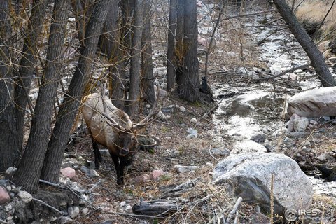 Ready-to-Build Land in Glen Haven