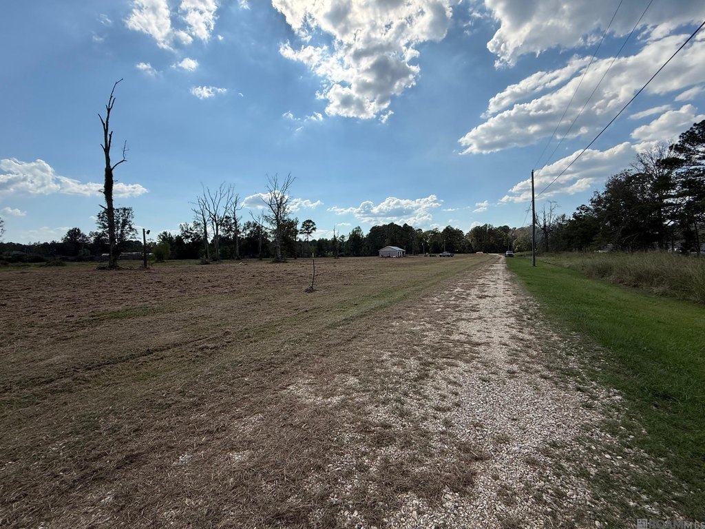 Picture 7