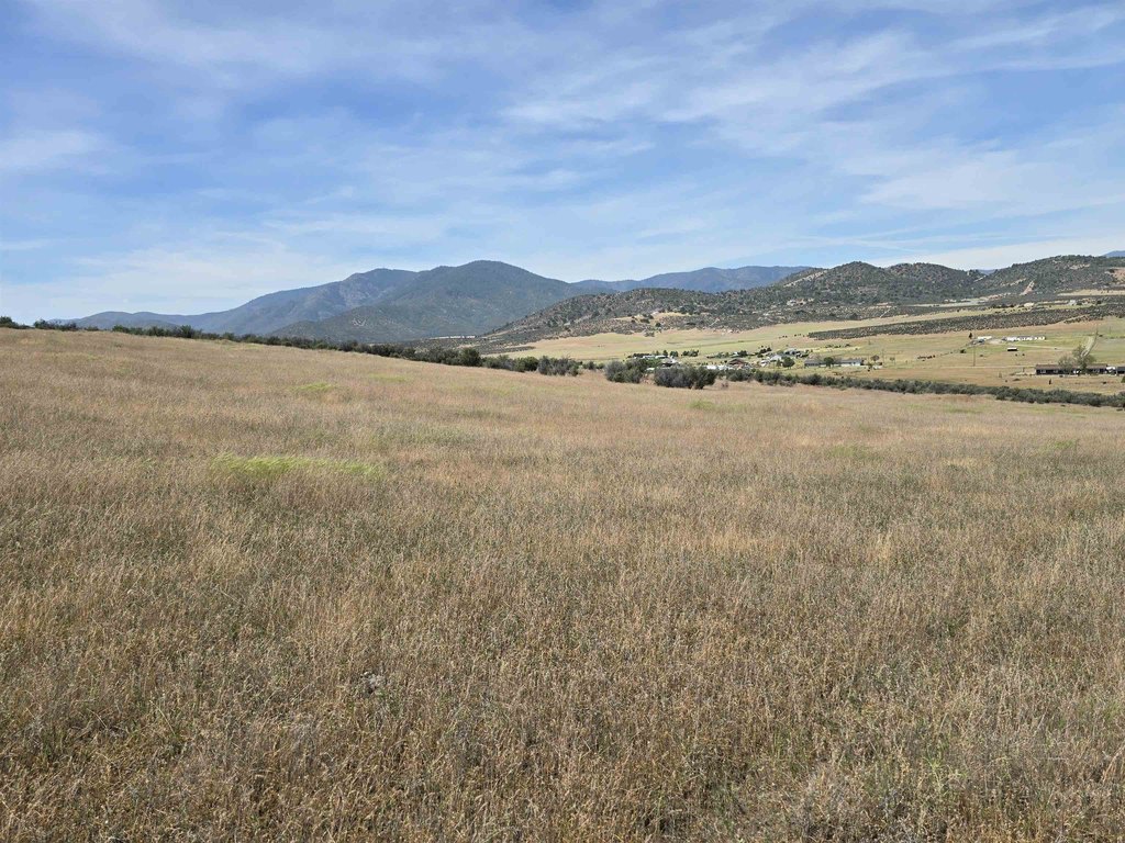 Picture 9