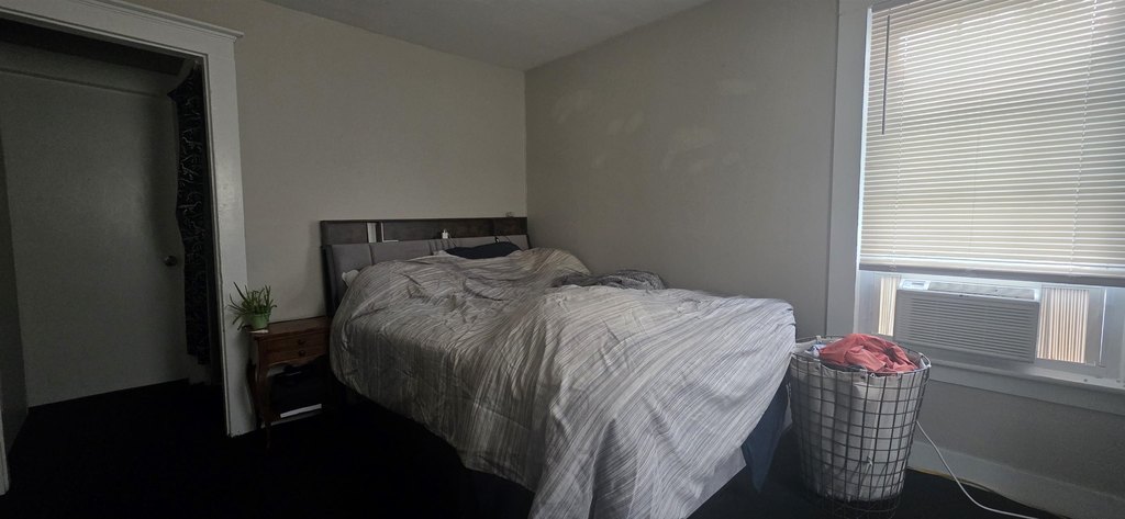 Picture 13