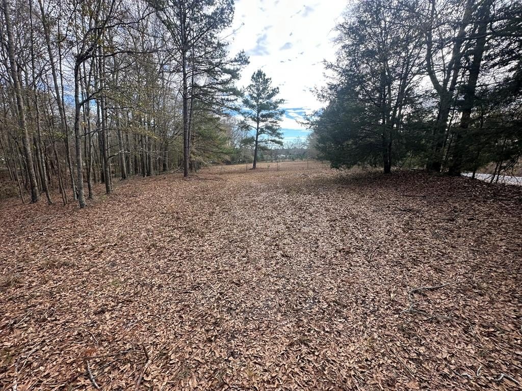 Land For Sale in Brundidge