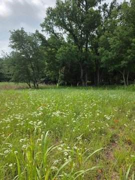 Land, Cleburne, TX