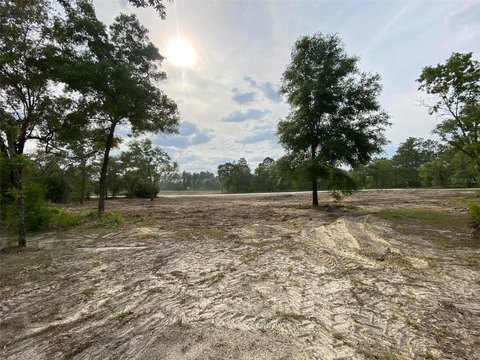 Land, WEEKI WACHEE, FL
