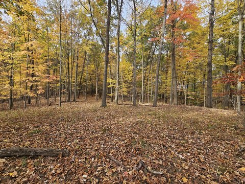 Land, Parma, MI