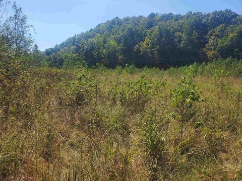 Vacant Land, Mena, AR