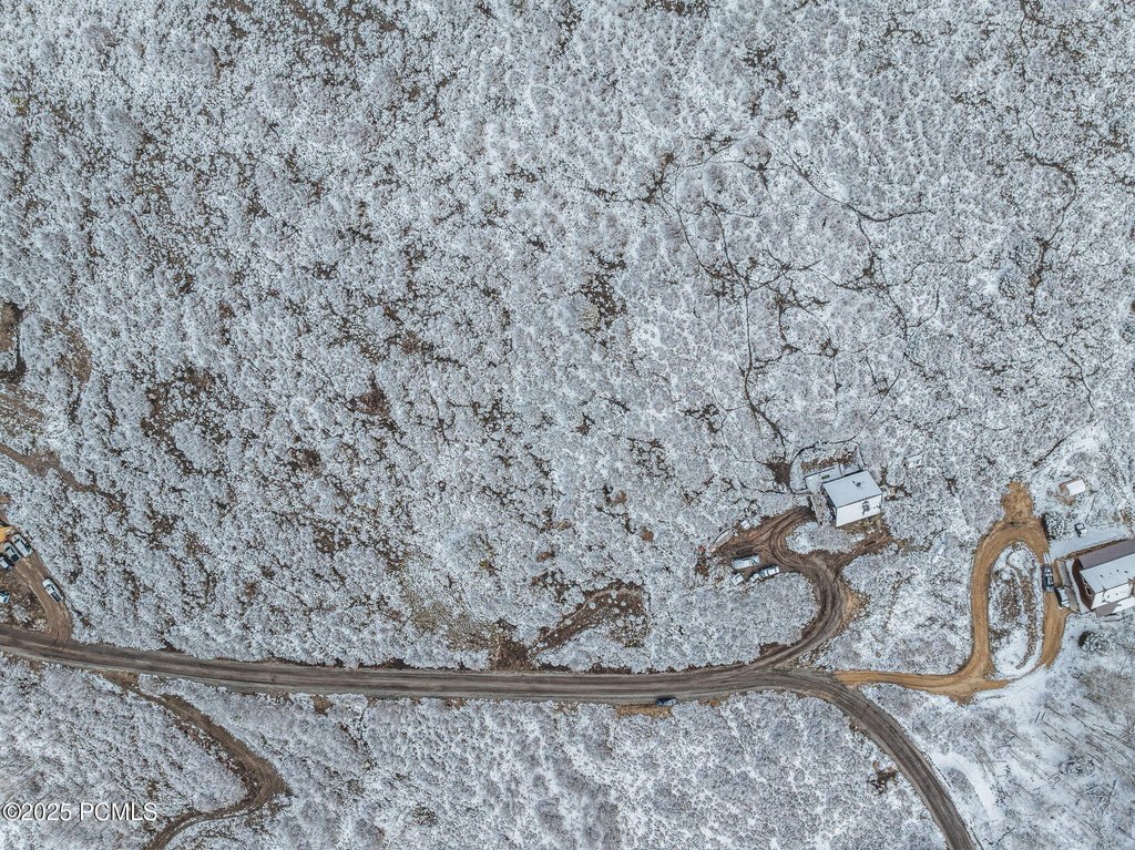 Picture 14
