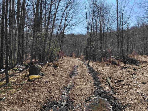 Wooded Residential Land Parcel