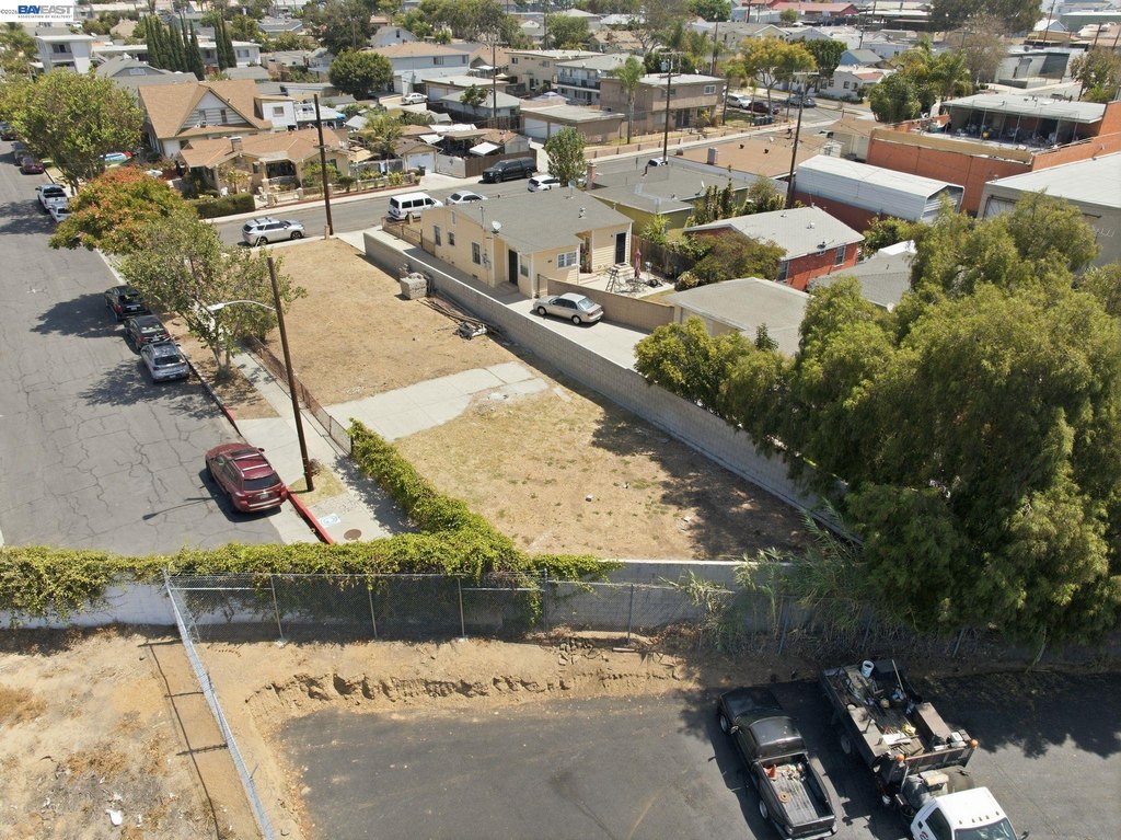 Picture 12