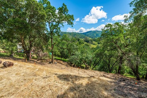 View-Oriented Residential Lot